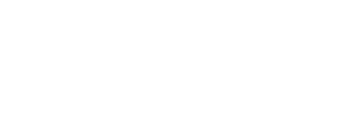 American Living Organ Donor Fund